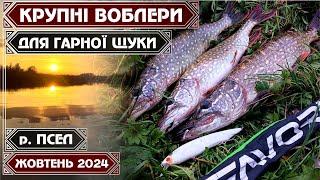 ️ЩУКА ДУРІЄ від ВЕЛИЧЕЗНИХ ВОБЛЕРІВ та ВИСТРИБУЄ за ними НАД ВОДОЮ‼️ Осінній ЖОР