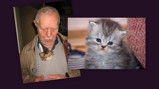 Samin Baghcheban: Persian Poetry for Cat - ثمین باغچه بان : دوبیتی های گربه