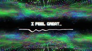 PURELY PLEASURE - I FEEL GREAT...