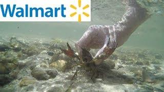 Walmart Catch n' Cook Challenge - Crawfish and Trout Edition!