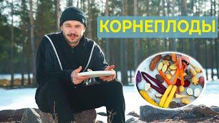 Корнеплоды Канаряна| Поясняю за ОВОЩИ