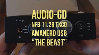 Audio-GD NFB 11.28 TXCO Headphone Amanero AMP DAC First Impressions