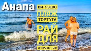 #АНАПА КАК ПРОЕХАТЬ НА ТОРТУГУ? ЛЮДИ ИЩУТ ЧИСТЫЙ ПЛЯЖ БЕЗ МЕДУЗ! ПЛЯЖ ПУСТОЙ!