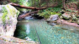 ULTIMATE Small Stream Fly Fishing | WILD TROUT