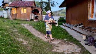 The charm of rural life in the Carpathians| homemade dandelion honey in the mountains