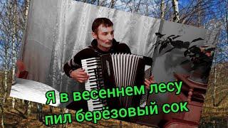 Я в весеннем лесу пил берёзовый сок. Советский хит 1968г. подобрал на аккордеоне.