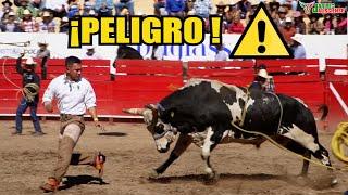 RECOPILACION, LOS TOROS MAS BRAVOS Y PELIGR0S0S DEL JARIPEO