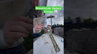 If you have BROODMINDERS, change your batteries before winter! #bees #beekeeping @broodminder
