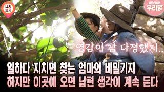[마냥 이쁜 우리맘 52회 ③] 일하다 지치면 찾는 엄마의 비밀기지 하지만 이곳에 오면 남편 생각이 계속 든다