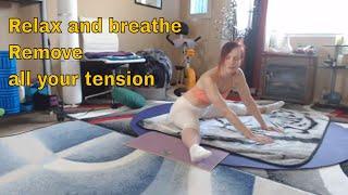 Yoga Easy Range of motion mobility stretching with Aurora Willows