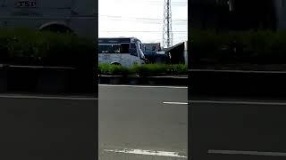 TSP king bus 