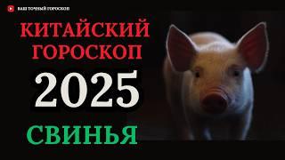 СВИНЬЯ 2025 - ПОДРОБНЫЙ КИТАЙСКИЙ ГОРОСКОП НА 2025 ГОД