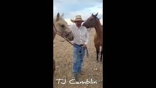 TJ Camblin- Healing with Warrior Nutrient Balm & Enzymatic Spray #healing