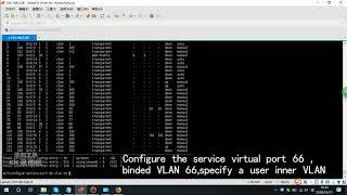 WOLCK GPON OLT configure Internet service on the Realtek HGU