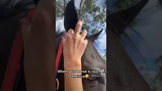 How will they know‍️ #noise #horse #viral #showhorse #tiktok  #drama #earplugs