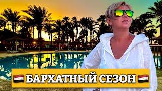 ЕГИПЕТ  - БАРХАТНЫЙ СЕЗОН! Marlin Inn Azur 4* Хургада 2024. Египет сейчас.