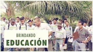 Brindando educación