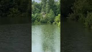 15lb BASS EATS MY WHOPPER PLOPPER!!!