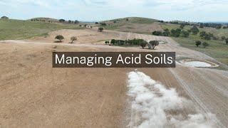 Managing acid soils in cropping and pasture paddocks