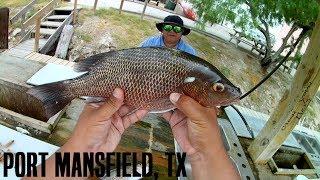 BIG Mangrove Snappers - Port Mansfield, TX (Mystery BIG FISH)