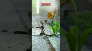 shorts #shortvideo #heartbroken #youtube