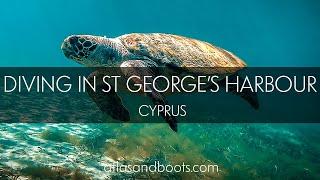 Diving St George’s Harbour in Cyprus