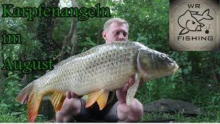 Karpfenangeln im August | wr fishing