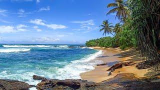 JUNGLE & PARADISE BEACH - best beaches near Tangalle, Sri Lanka for relaxation