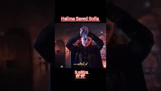 Halima Saved Sofia love story #love #beautiful #duet #song Orhan love Holofira love story 