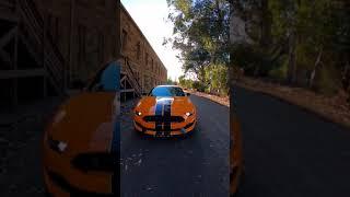 Would you take this, or a GT500??