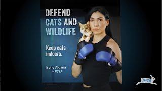 UFC Star Irene Aldana Throws Down for Cat Safety in a Knockout Campaign With PETA