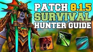 Survival Hunter DPS Guide 8.1.5 | Talents, Azerite, Rotation & Stats | World of Warcraft | WoW BfA