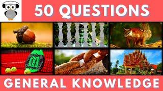 General Knowledge Quiz Trivia #102 | Acorn Tree, Australian Marsupial, Iron Corrosion, Bangkok