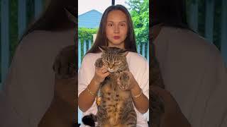 Веселые съемки #юмор  #веселыекоты #котики #мемы #прикол #животные #коты #кот