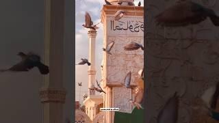 THE Most Relax and Beautyfull  Scene In The World