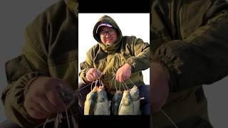 Как у Вас СО ЗРЕНИЕМ ДРУЗЬЯ? #shorts #fishing #nature #рыбалка #fish #эдвардкосичка #отдых #rest