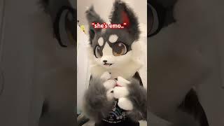 Mind your biz!! #fursuit #furry #therian #furries #cute #funny #trend #shorts #foryou #dragonpuppets