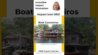 ORO eXchange: an Impact Icon - Investible Impact Innovations, free course