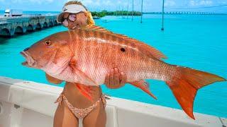 Newbie GF Hooks Dream Fish in Florida Keys! Catch Clean & Cook