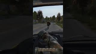 We Sanātanī‘s don‘t kill Cow’s  even in DayZ