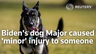 Biden's dog Major caused 'minor' injury to someone at White House