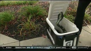 Flyers' players get scared by a fake snake