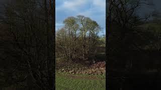 4000 year old barrow | English Countryside