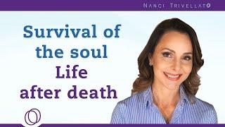 Life after Death: what happens to those who passed - Survival of Consciousness