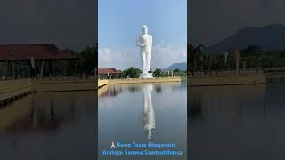 Magnificent Standing Buddha of Mahiyanganaya, Sri Lanka  June 2023