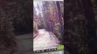 Bigfoot Caught on Camera Messing with Trail Cam!