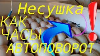 НЕСУШКА БИ-2 АВТОПОВОРОТ ЯИЦ НЕ РАБОТАЕТ ПРАВИЛЬНО! РЕШЕНИЕ ЕСТЬ!