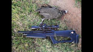 Huben K1 22 cal - High Powered PCP Semi Auto Airgun Hunting Guinea Fowl in Africa 2022