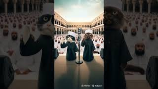 little cat giving islamic prayers #cat #cute #nizamkucinglucu #cutecat #kucinglucubandung #cats #ai