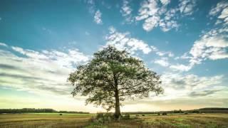 Eco Vision 2050 Environmental Action Plan | Konica Minolta